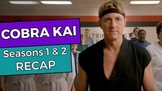 Cobra Kai: Seasons 1 & 2 RECAP