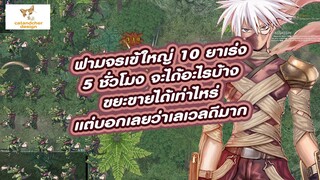 ragnarok classic ggt ro ฟาม จรเข้ anolian 10 ยาเร่ง 5 ชั่วโมง จะดีแค่ไหน ขยะขายได้เท่าไหร่ มาดู