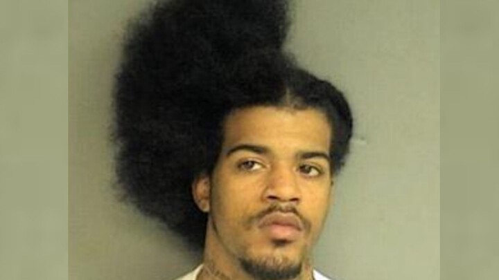 News Broadcast: Compilation of Unexpected Accidents – Part 2! Laugh So Hard You’ll Crow Like a Roost