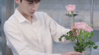 ดอกกุหลาบนั้นไม่มีหนาม ใครจะรักคุณอย่างจริงใจ