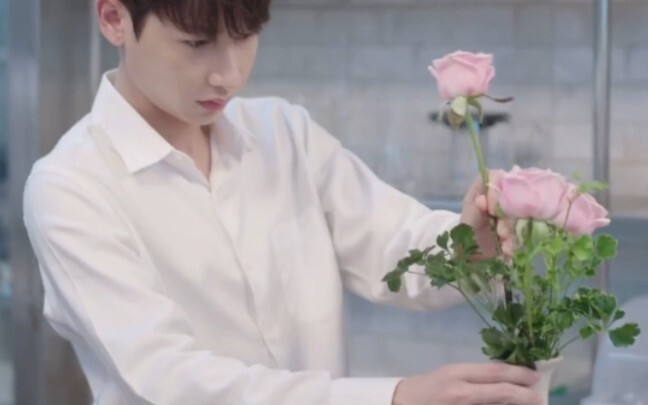 That rose has no thorns, someone will love you sincerely