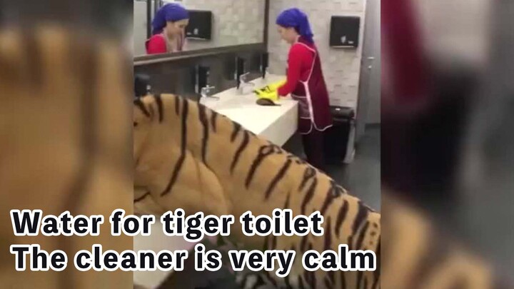 Nhà vệ sinh đột nhiên có hổ, cô lao công vẫn bình tĩnh quét dọn