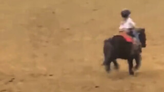 The man and the horse are five years old.