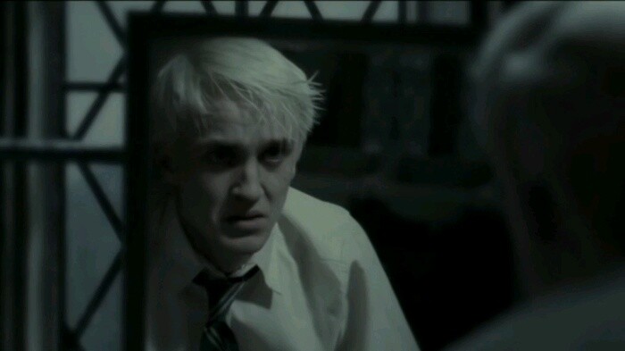 HP | If you were Draco Malfoy's sister, the possessiveness of the Weasley twins