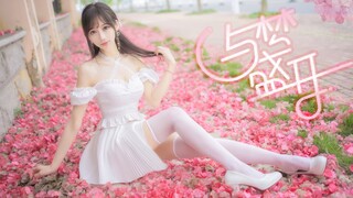 啊~是少女的香气！春日的花与梦盛开💗【蘑菇】【BDF2021】