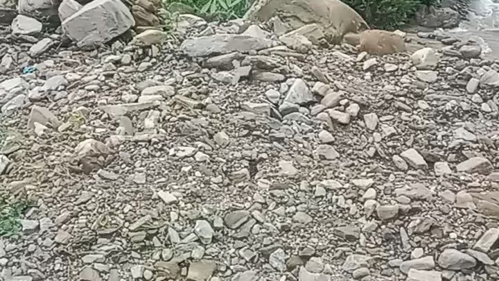 this is a nepal rood  in pahadiya lokmark