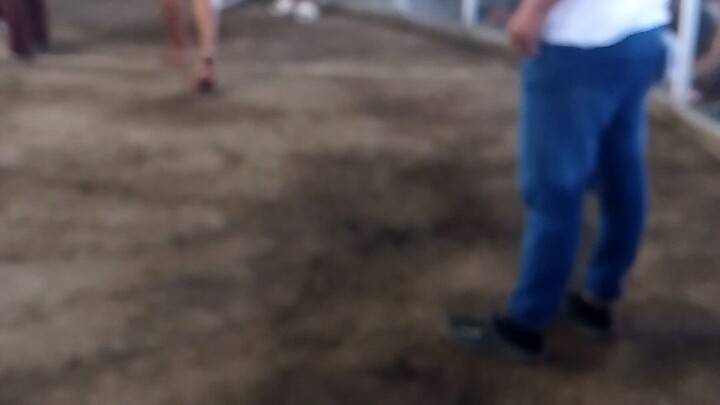 panalo Tau dyan Wala side Tau..hehehe wlang financer