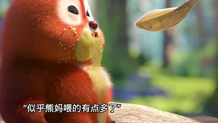 ลูกหมีแบบนี้น่ารักเกินไปแล้ว หมีออกหากิน