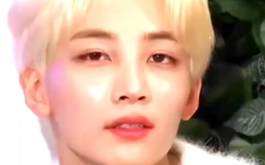 【SVT】Wink Picture Book～(People Recognition)