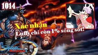 [Spoiler OP 1014]. Kaido nhìn Luffy ngỏm! Chủ tịch nâng cấp Rumble Ball đấu Queen