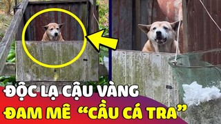 Độc lạ chú chó đam mê 'CẦU CÁ TRA' ở miền tây khiến ai cũng ngỡ ngàng 😅 | Gâu Đần