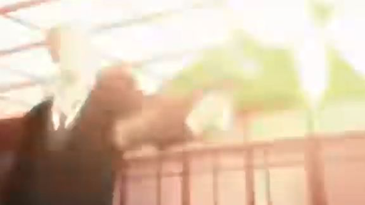 One Piece [AMV] Light Em Up.