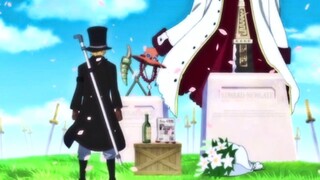 "Ace, aku akan melindungi Luffy mulai sekarang!" Ini romansa!