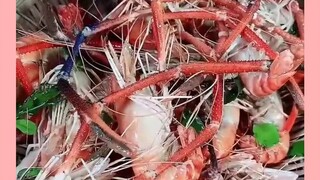 goreng udang galah