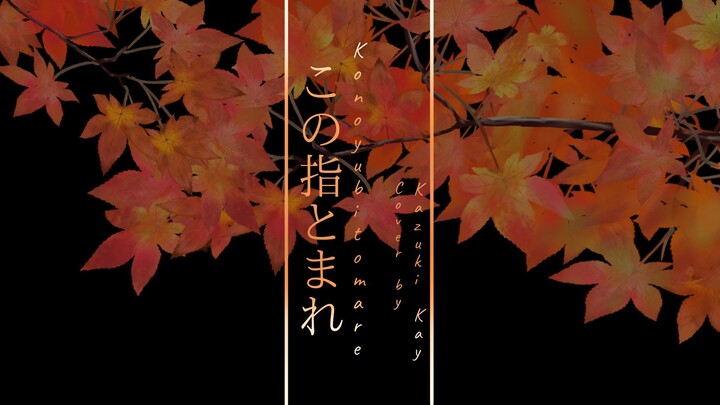 この指とまれ (Kono Yubi Tomare) - After the Rain / Cover by Kazuki Kay