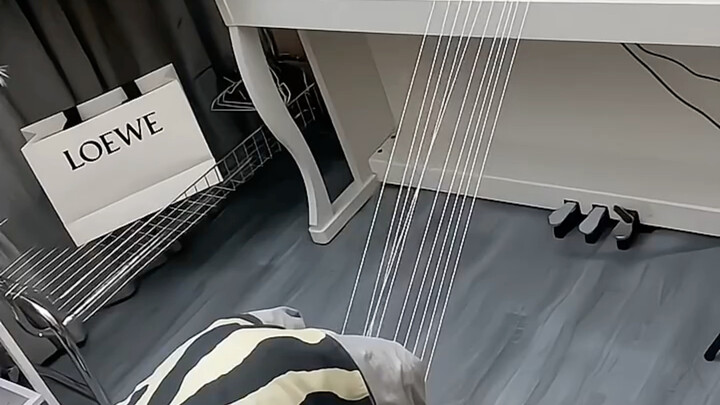 هل هذا هو التشخيص بالوتر المعلّق الأسطوري؟