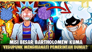 Terungkap!! Misi Rahasia Sebenarnya dari Kuma, Penjelasan Tujuan bartholomew kuma dan Vegapunk