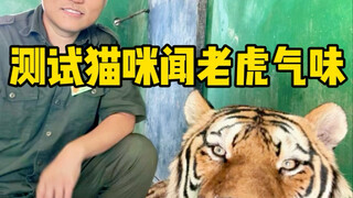 Cat: Are my relatives from Northeast China coming?