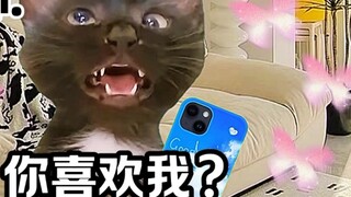 "Cat Meme Little Theater" Khi người bạn thân khác giới của bạn tỏ tình với bạn!