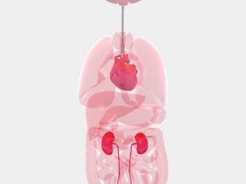 “Peringkat kedua seantero situs” Pasien yang disuntik 50 ml kalium klorida berhasil diselamatkan!