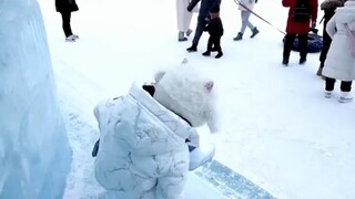 南方小土豆勇闯冰雪大世界，“嗖...duang...”，海拔低，扛摔！"南方小土豆 "原谅我不厚道的笑了