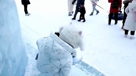 Southern Little Potato bravely ventures into the world of ice and snow, "whoosh...duang...", at a lo