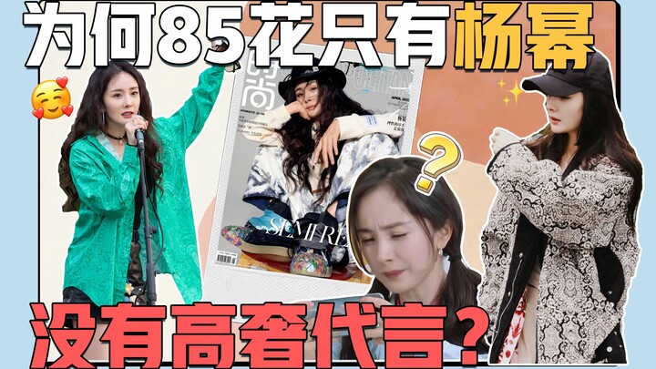 ทำไมหยางมี่ถึงไม่มีแบรนด์หรูหราเป็นแบรนด์แอมบาสเดอร์?