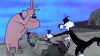 Tom and Jerry