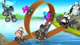 Funny Animals Ride Wooden Loop Bridge with Animal Monster Bikes in Forest | New Animal Comedy Videos