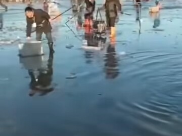 1.14 Tần Hoàng Đảo, Hà Bắc: Nhóm câu cá bị tiêu diệt hoàn toàn; tin mới nhất: đã có bảy người thiệt 
