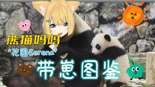 【四分钟看猫猫】小熊猫要健康的长大！