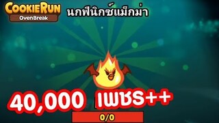 Cookierun OvenBreak ตามล่านกฟินิกซ์แม็กม่า LV.MAX เปย์หนักมากกว่า 40,000 เพชร !?