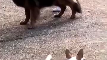 #โชว์โหด