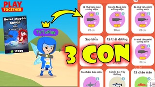 Trang Phục Boxer 12k Tiền Sao Bị Lỗi Game, Câu Lên 3 Con Nhà Táng VM Liên Tục Kìa | Play Together