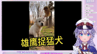 看《世界破破烂烂，小狗缝缝补补》日本萌妹高呼要学中文歌