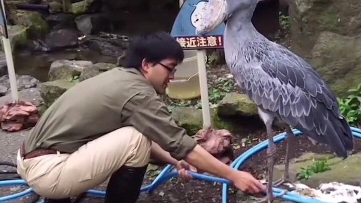 Tôi không lười, chỉ là lúc ngẩn người ra tôi không thích cử động mà thôi