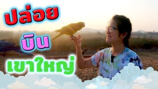 VLOG: พานกแก้วปล่อยบินอิสระที่ เขาใหญ่! อากาศดีเวอร์