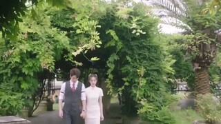 11 Blazing Elegance 2025.                     ( Short C-drama)