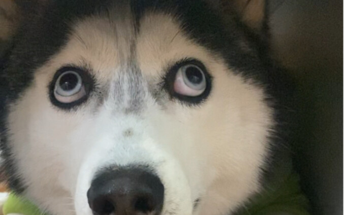 I feel like they're about to point at me any second now.