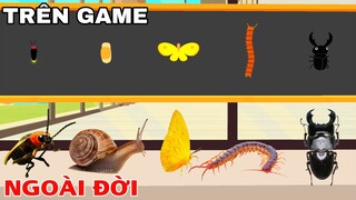 PLAY TOGETHER | CÁC LOẠI CÔN TRÙNG NGOÀI ĐỜI THỰC KHÁC VỚI TRONG GAME RA SAO ?