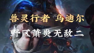 Di area hutan, kisah latar Xiao Yan dan Udyr juga sama-sama gila. Kisah latar Beastmaster Udyr