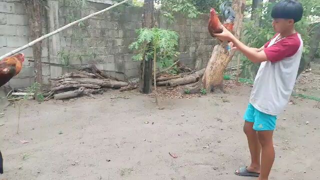 kudkud