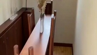Ngôi nhà phù hợp cho chó nhỏ ở