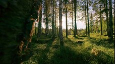 [Tập 5 - Thuyết Minh] Bảy thế giới, một hành tinh - Seven Worlds One Planet S01E05