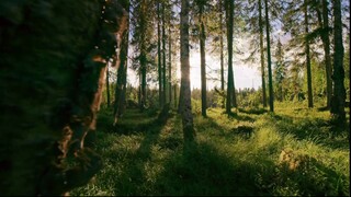 [Tập 5 - Thuyết Minh] Bảy thế giới, một hành tinh - Seven Worlds One Planet S01E05