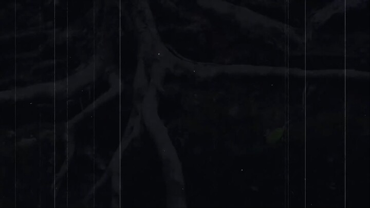 FLESHGAIT  Cryptid Creepy Pasta Stories