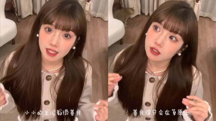 أنا خروف نبيل وُلدتُ للنوم!