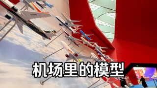 北京大兴机场看模型 魔力松子