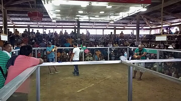 2wins sjcockpit 1stfyt win 2ndfytloss 11-26-23