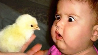 Cute Babies พบกับสัตว์เลี้ยงในฟาร์ม - Funny Babies and Animal videos 2020